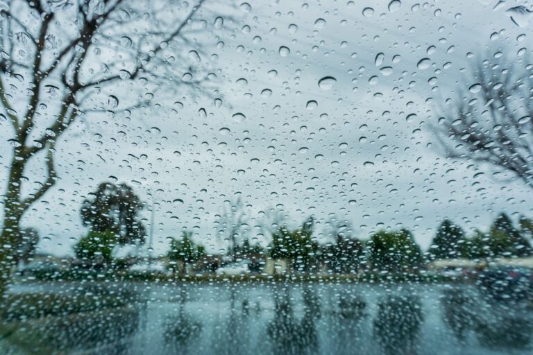 drops of rain on the window blurred trees in the 2023 11 27 04 55 15 utc